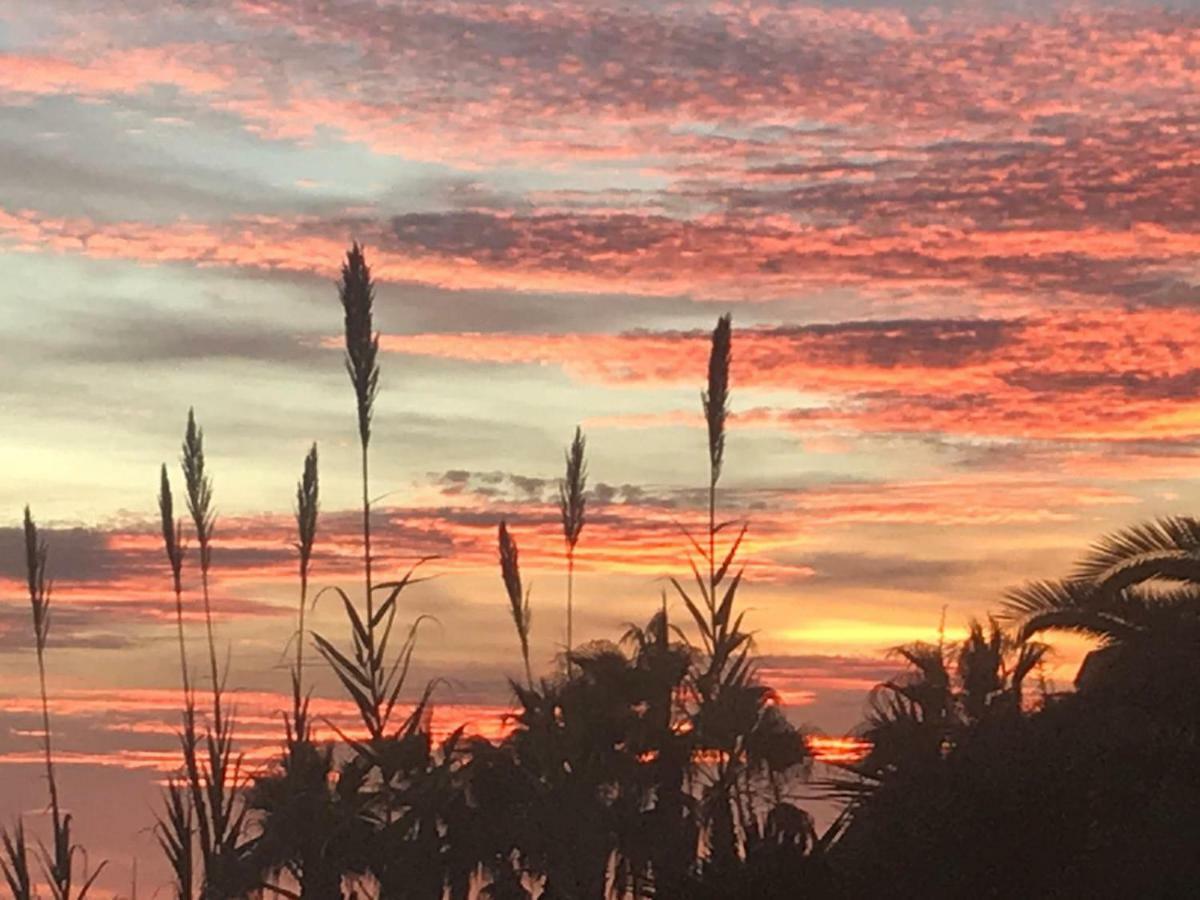 Paraiso frente al mar Apto duplex Coma-ruga Esterno foto